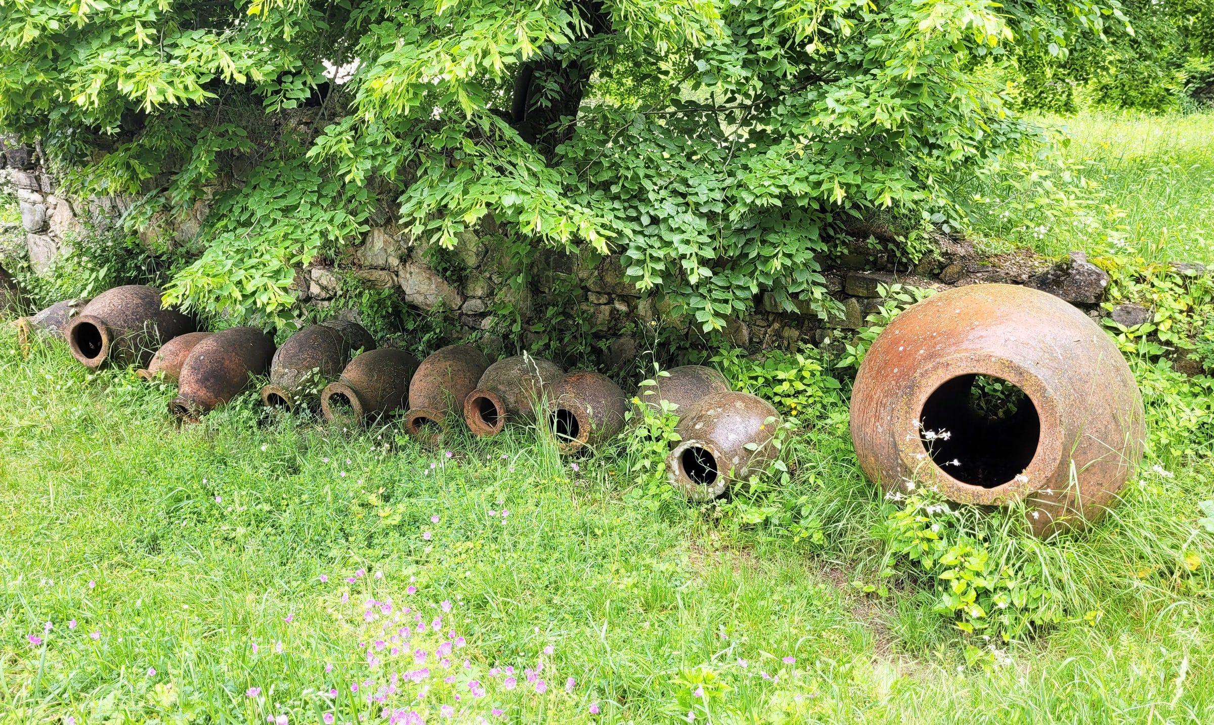 Weathered clay qvevri lying in the grass beneath trees at Ikalto monastery, Kakheti, Georgia